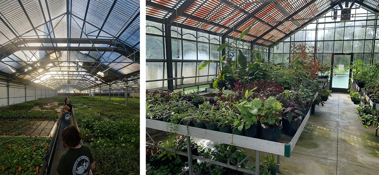 Interior shots of the UCF Arboretum and rows of plants